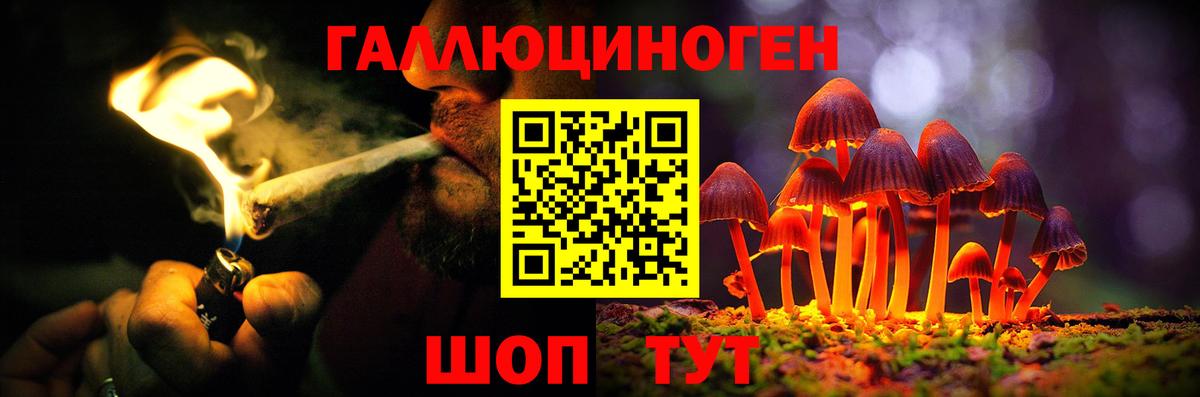 Губкинский  хочу   Вход с VPN  Псилоцибиновые грибы ЛСД 